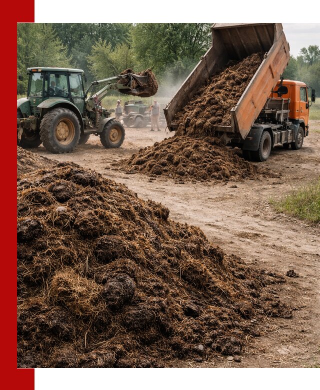 Доставка навоза самосвалами в Протвине для сельхозпотребностей