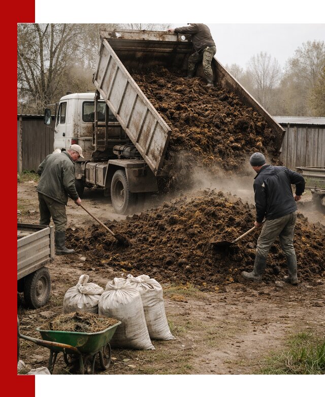 Доставка коровьего навоза самосвалом в Протвине